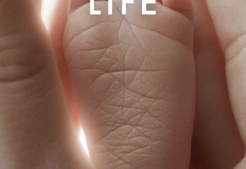 The Tree of Life