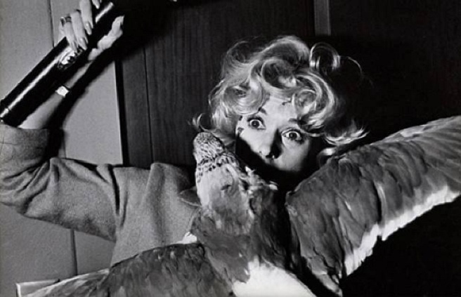 10 Best Alfred Hitchcock Scenes Ranked (Psycho, Rear Window, Vertigo ...