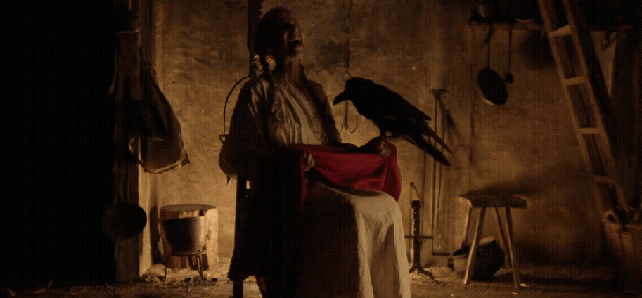 horror movie birds the witch