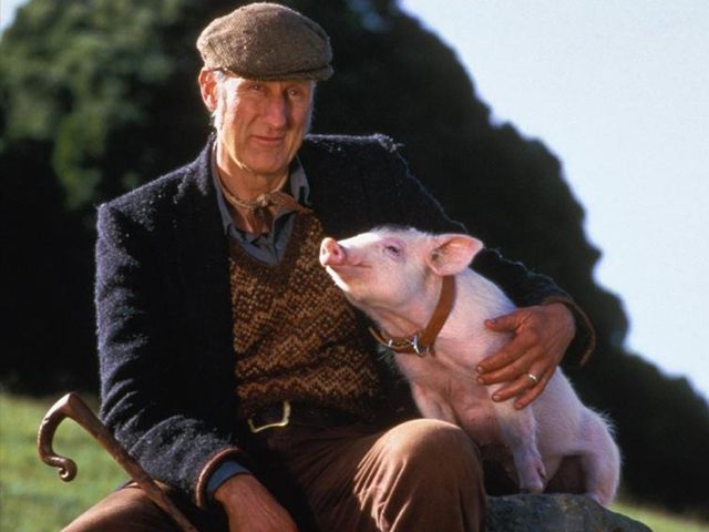 Babe James Cromwell