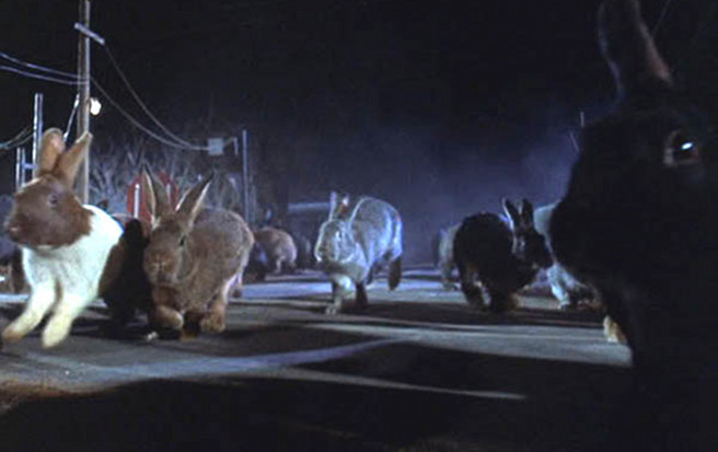 Top 10 Creepy Movie Bunny Rabbits!