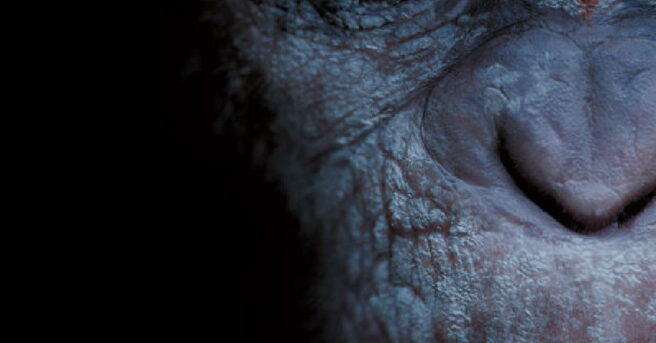 Dawn of the Planet of the Apes