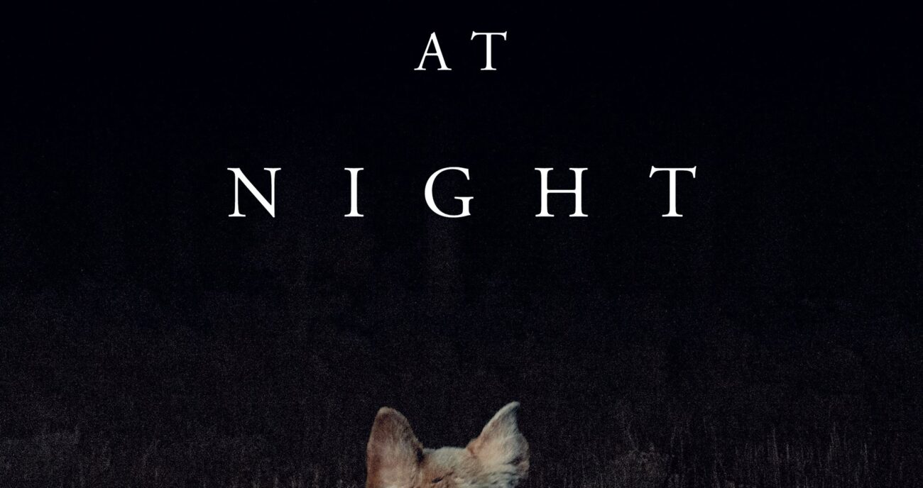 It Comes at Night