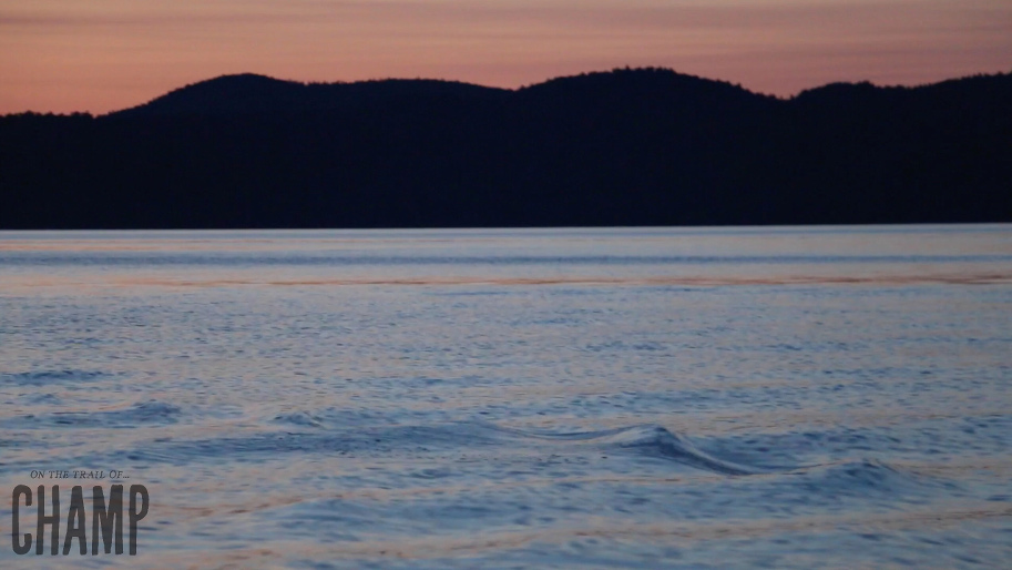 vidispace nick groff elizabeth saint seth breedlove on the trail of champ paranormal