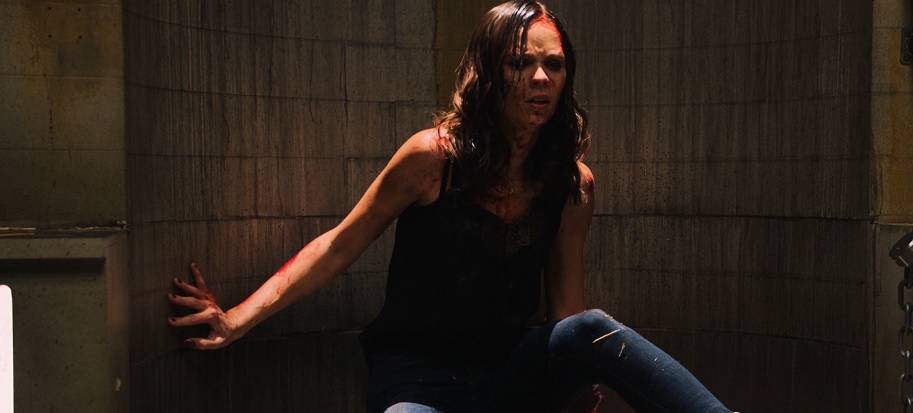 Jigsaw Laura Vandervoort