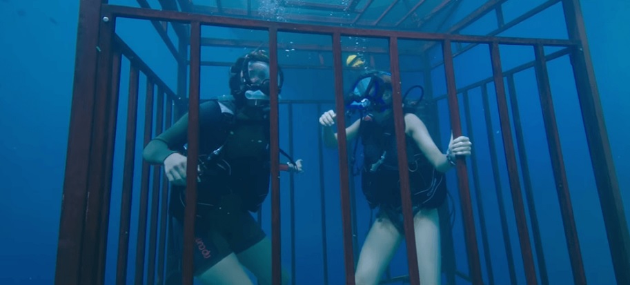 47 Meters Down Johannes Roberts Mandy Moore Claire Holt