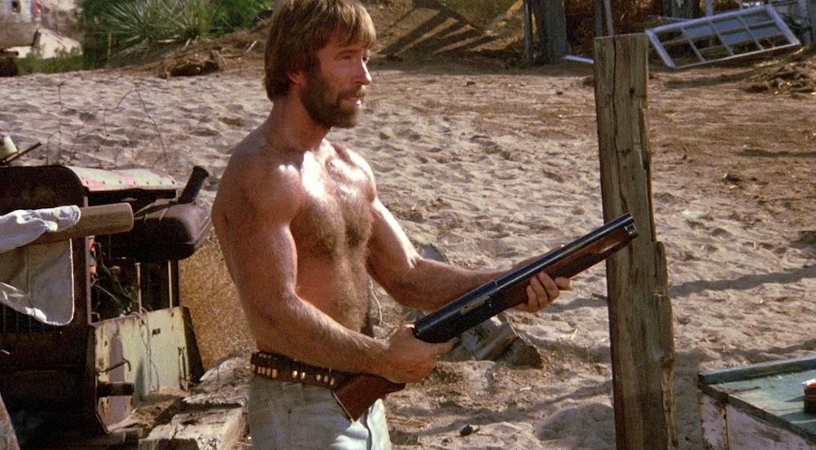 Lone Wolf McQuade, chuck norris, david carradine