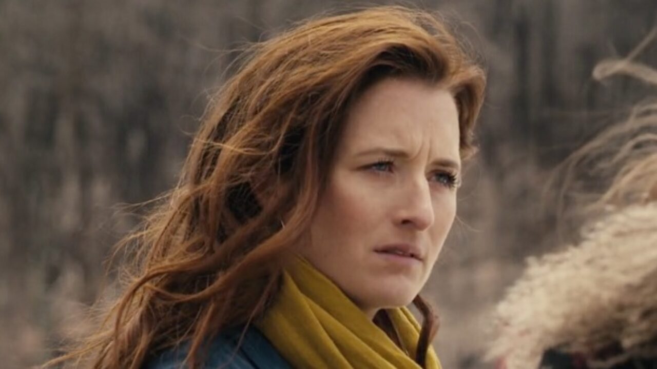 junk aflivning Foresee Let the Right One In TV show adds Grace Gummer of Mr. Robot to the cast