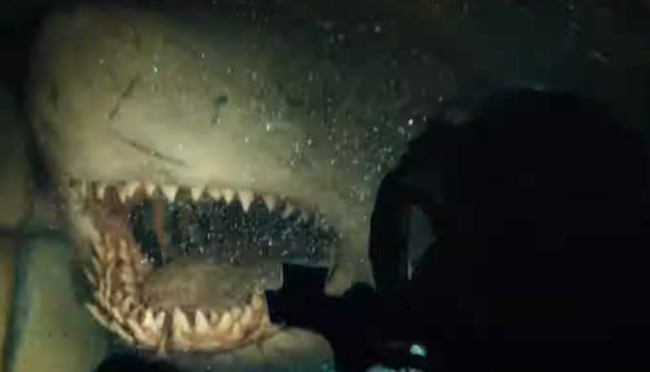 Review: 47 Meters Down: Uncaged - JoBlo