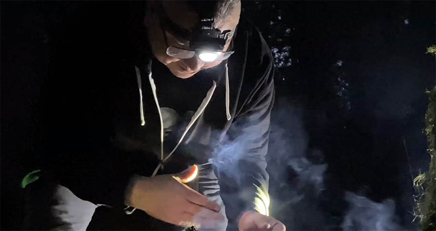 We Want to Believe: The Hunt for Bigfoot