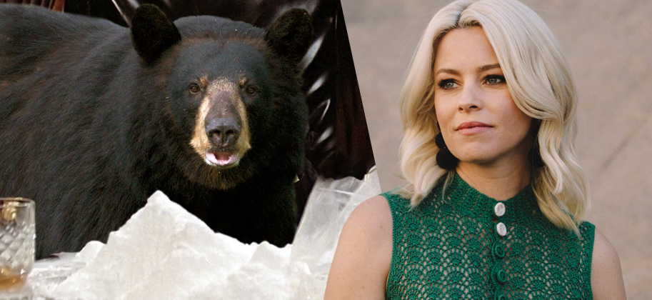 Elizabeth Banks' 'Cocaine Bear' outperforms 'Ant-Man 3' at the box office -  AS USA