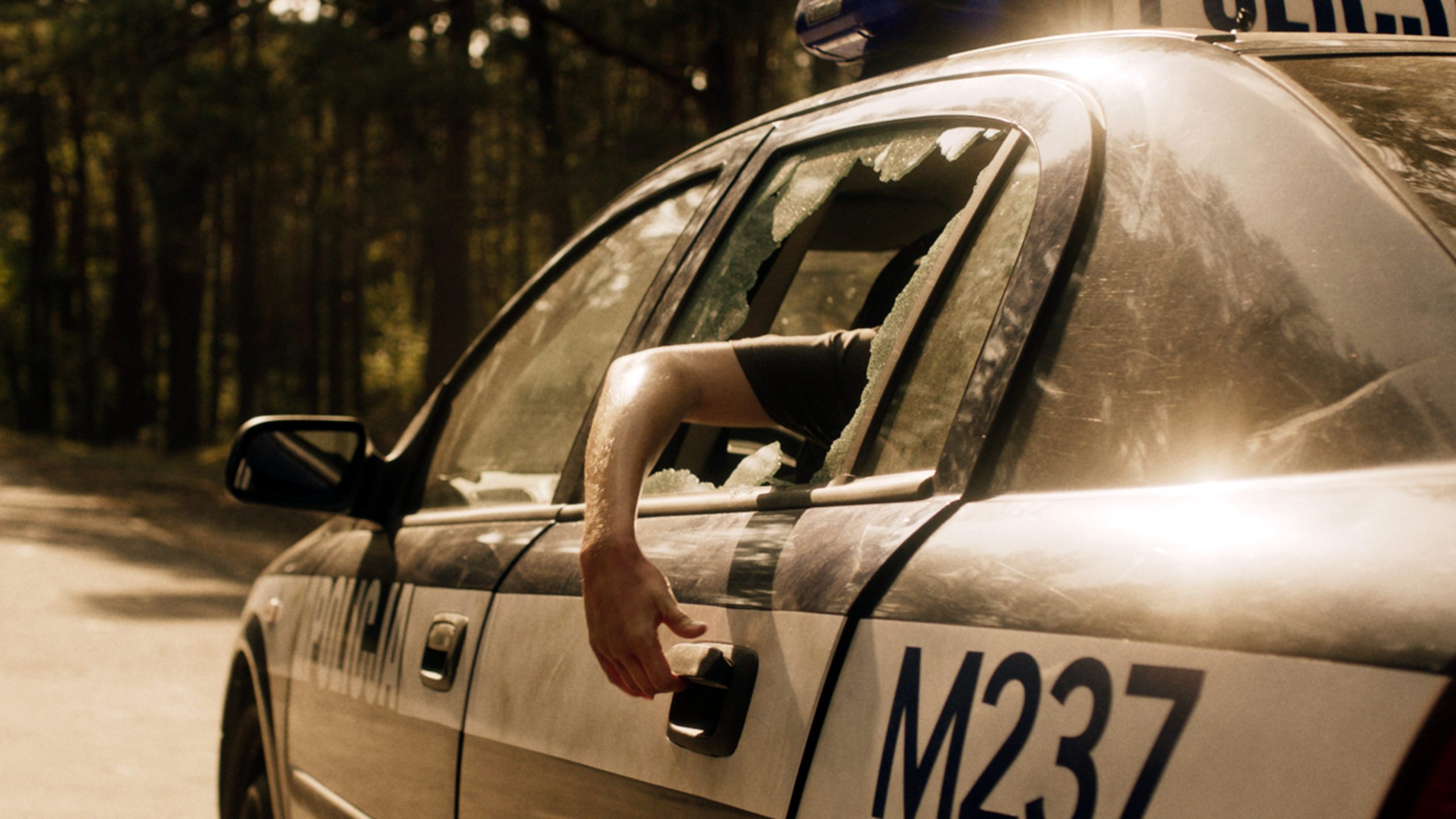 Bartosz M. Kowalski Nobody Sleeps in the Woods Tonight