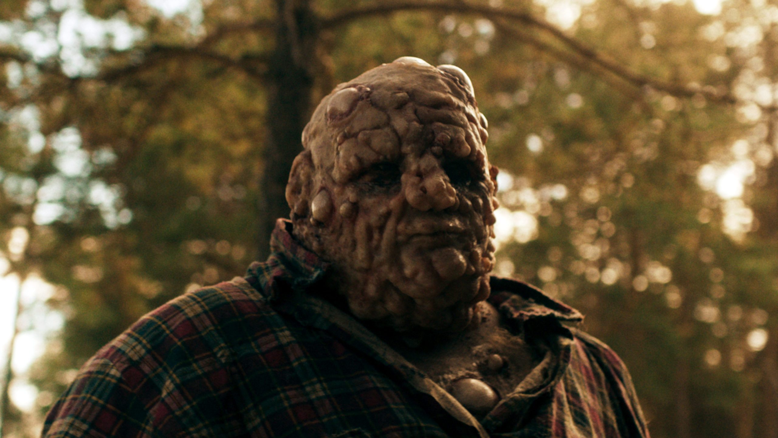 Bartosz M. Kowalski Nobody Sleeps in the Woods Tonight