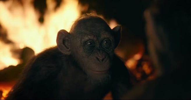 War for the Planet of the Apes Steve Zahn Bad Ape Matt Reeves