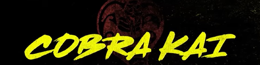 TV Review, Cobra Kai, Netflix, The Karate Kid, William Zabka, Ralph Macchio, karate, martial arts