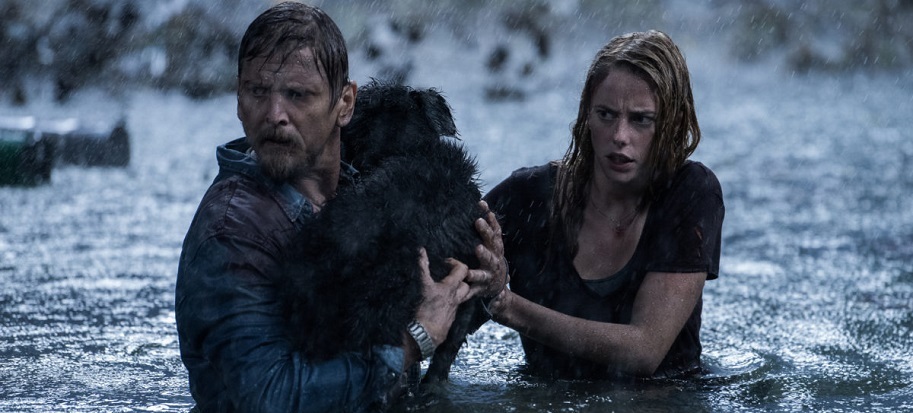 Crawl Alexandre Aja Barry Pepper Kaya Scodelario