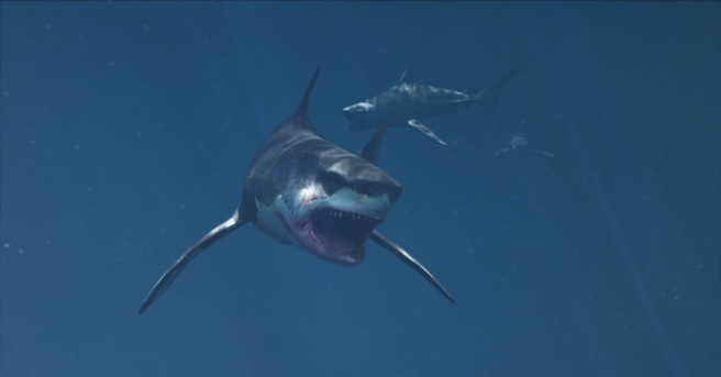 Empire of the Sharks Mark Atkins