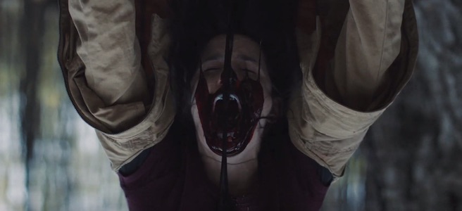 woodland grey, horror