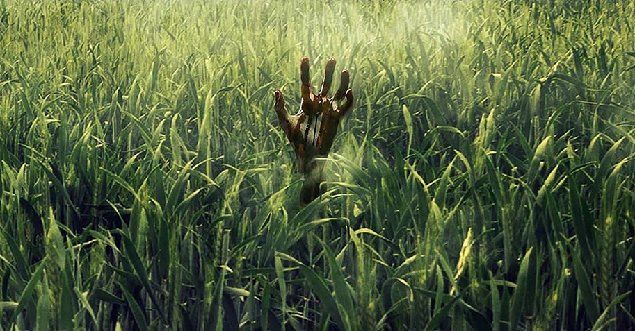 In the Tall Grass, Netflix, Stephen King, Joe Hill, Horror