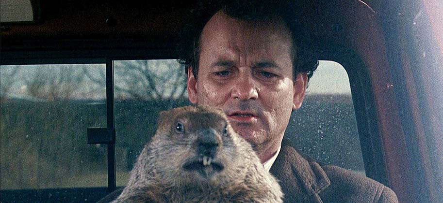 Groundhog Day: What’s It Really About?