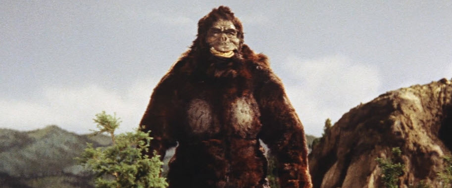 KING KONG VS GODZILLA Kong