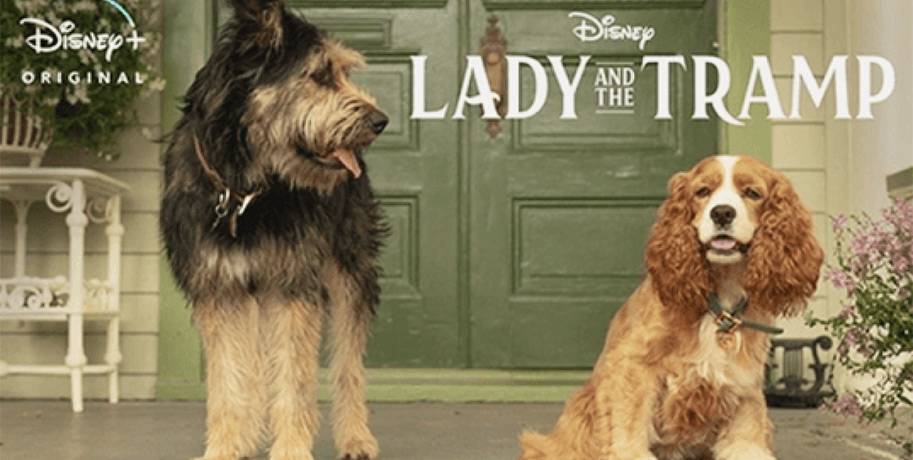 lady and the tramp, image, disney