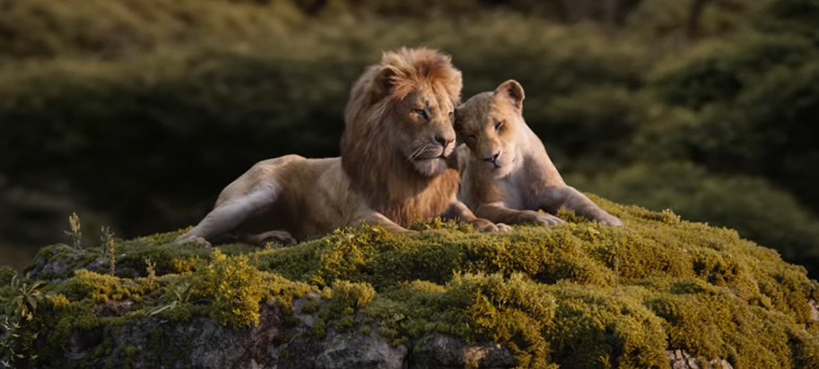 lion king, tickets, poster
