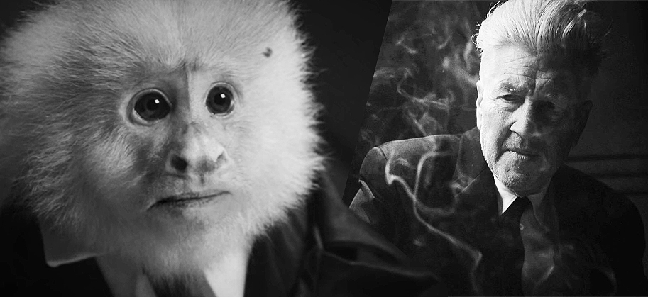 Netflix, What Did Jack Do, David Lynch