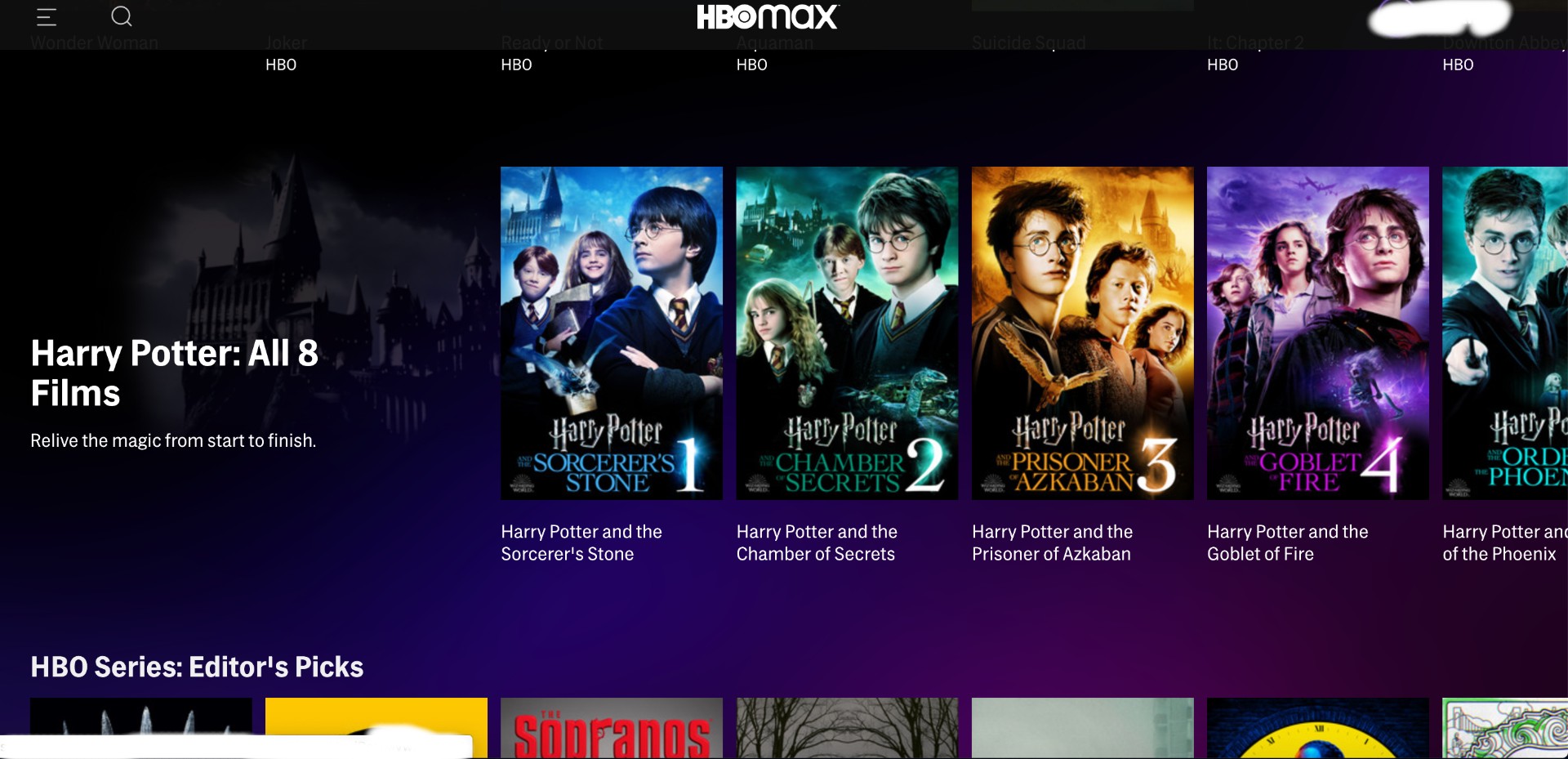 Harry potter is a series. Harry Potter Series HBO.