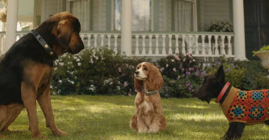 classic, Family, Charlie Bean, Lady and the Tramp (2019), 2019, Tessa Thompson, Justin Theroux, review, disney, Disney Plus