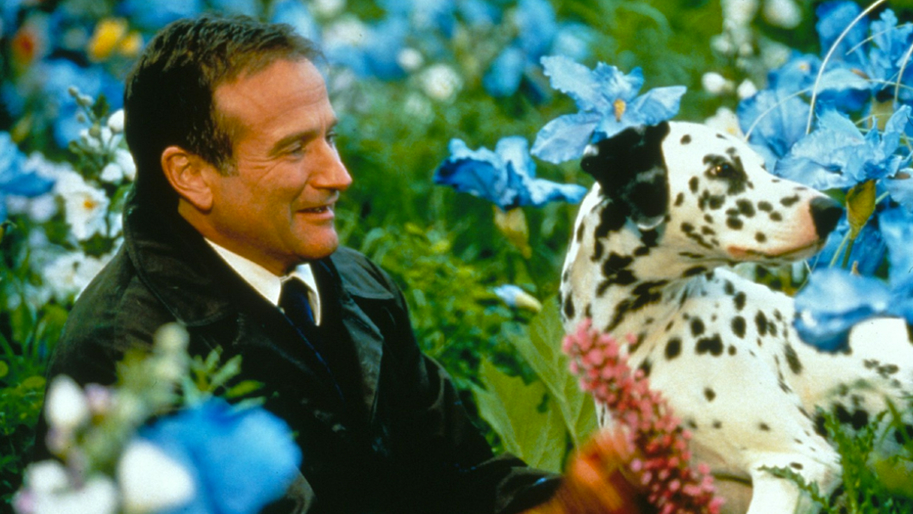 what dreams may come robin williams dog
