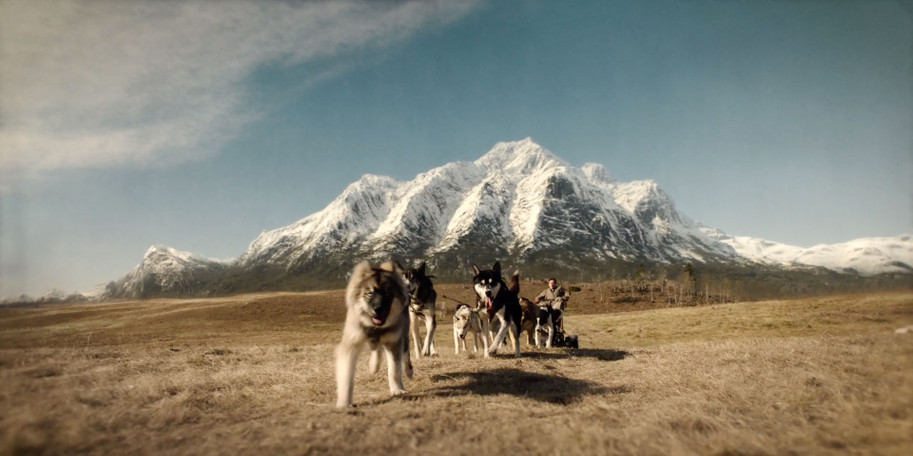 Togo, Disney+, Willem Dafoe, Julianne Nicholson, true story, adventure, JoBlo.com