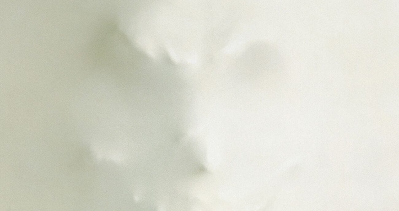 The Frighteners