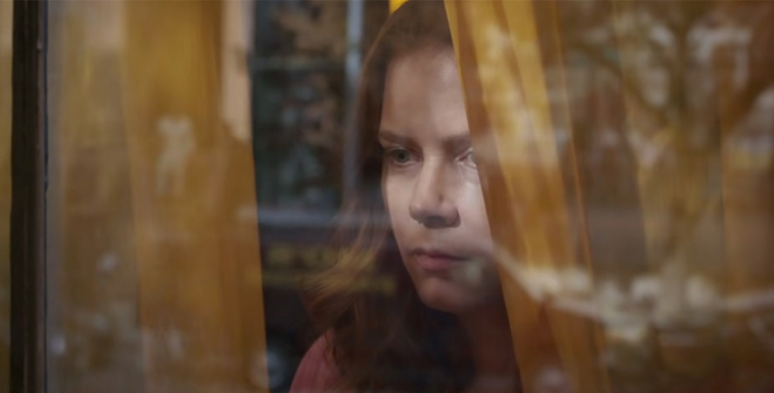 the woman in the window Amy Adams