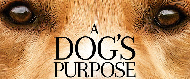 A Dog's Purpose review Lasse Hallstrom Dennis Quaid movie