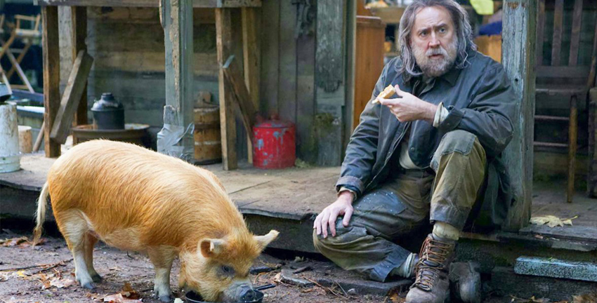 Nicolas Cage pig