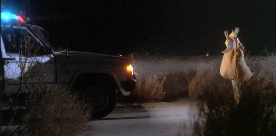 spaced invaders duck