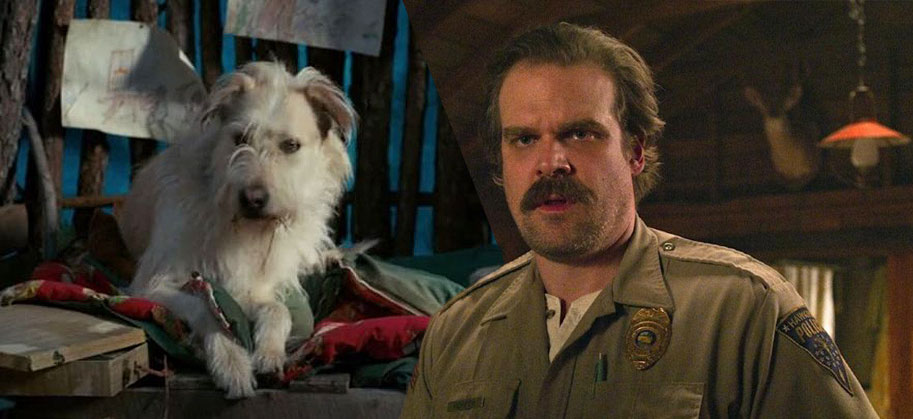 Stranger Things, Netflix, David Habour, Byer's dog