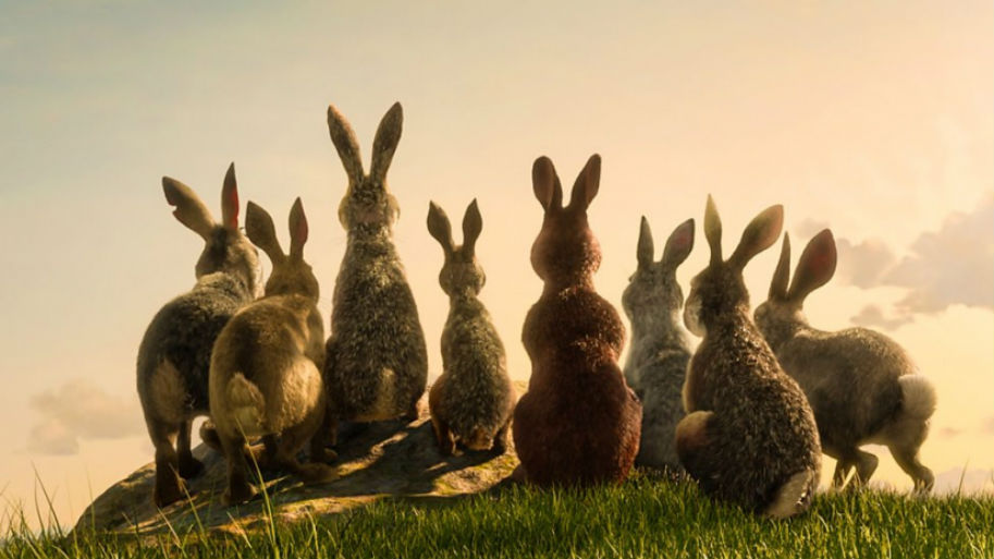 Watership Down, Netflix, BBC, TV Review, James McAvoy, Ben Kingsley, Nicholas Hoult, Gemma Arterton, Peter Capaldi