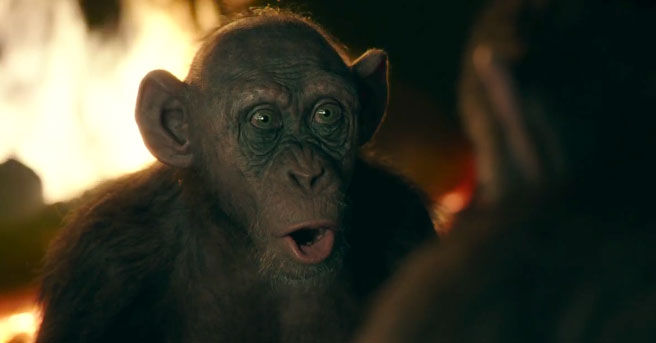 War for the Planet of the Apes Steve Zahn