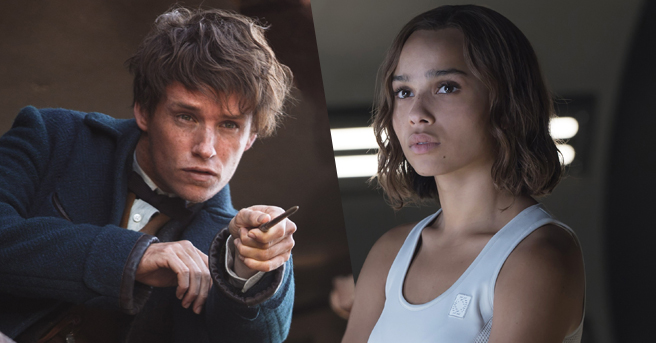 Zoe Kravitz Fantastic Beasts and Where to Find Them Eddie Redmayne