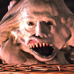 Frank Henenlotter's 1982 cult classic Basket Case is getting a 4K release in the US, the UK, and the Canada, thanks to Arrow Video