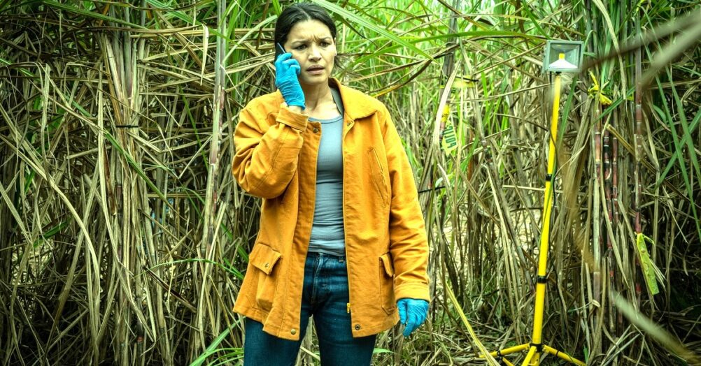 Serial killer thriller series Reyka is coming to the BritBox streaming service this week. Trailer is online. Kim Engelbrecht, Iain Glen star