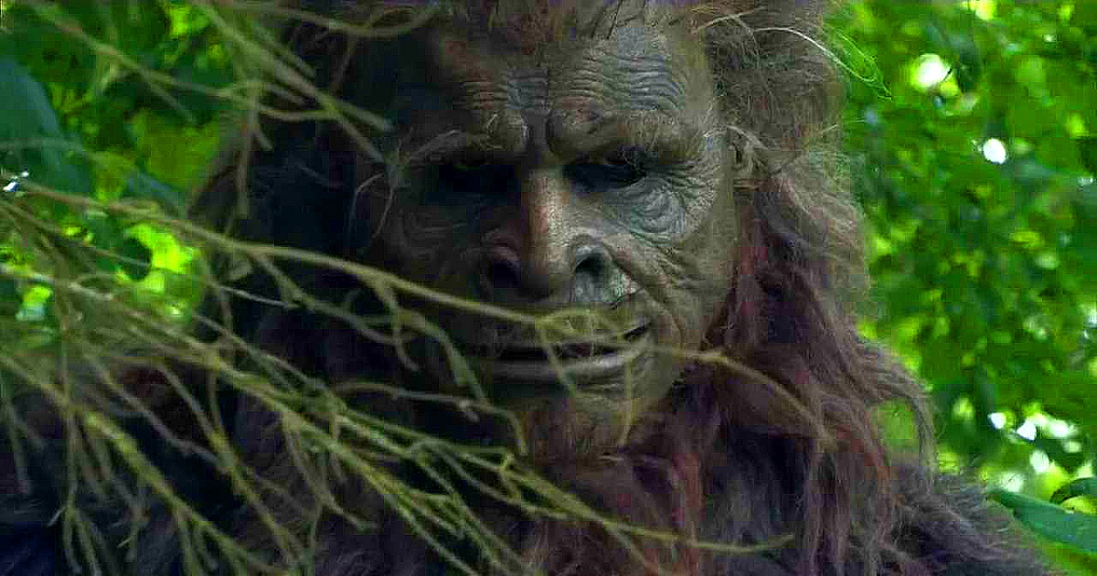 That Bigfoot Show looks into reports of a Bigfoot sighting in San Antonio, Texas in 2009. Cryptozoologist Ken Gerhard guest stars.