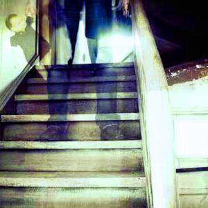 The We Want to Believe team investigates claims of a haunted staircase in the latest episode of the Paranormal Network video series.