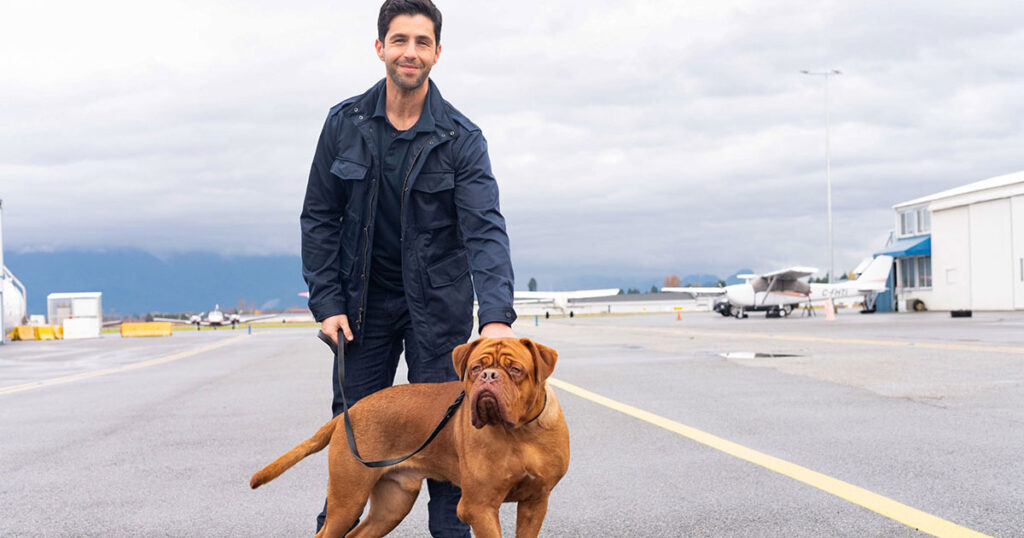 Turner & Hooch, Disney+, Turner & Hooch canceled