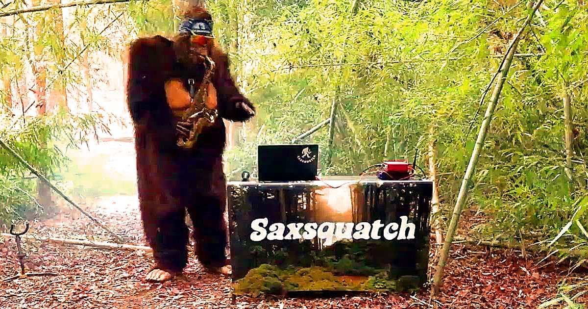 The new episode of our Paranormal Network video series That Bigfoot Show looks at the biggest and best Bigfoot stories of 2021.