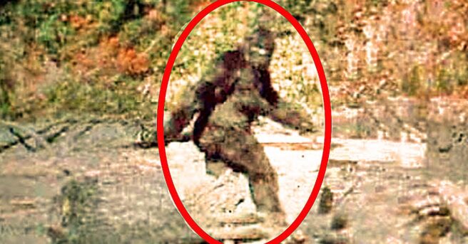 Filmmaker and Fortean enthusiast Sean Whitley is interviewed in the new episode of the Cryptid Campfire video podcast series!