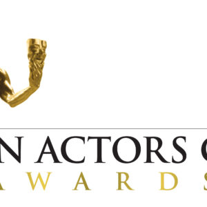 Sag award nominations, sag awards, sag nominations, screen actors guild