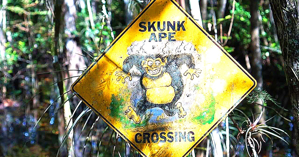 The new episode of The Paranormal Network's Cryptid Campfire video podcast digs into the legend of Sasquatch's smelly cousin, the Skunk Ape!